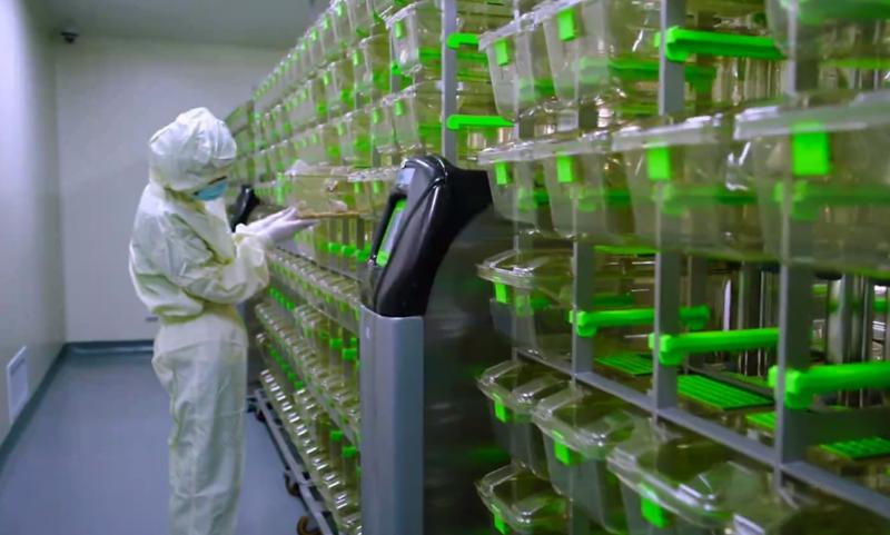 分析測試中心：黨建引領促發展  “萬全之測”譜新篇